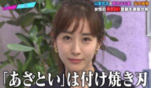 田中みな実　あざとい　番組